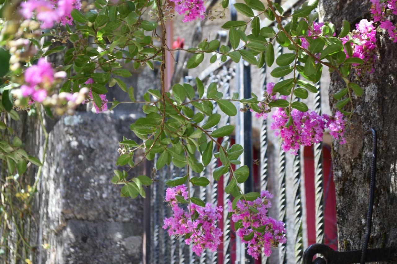 Villa Margaridi Guimarães Dış mekan fotoğraf